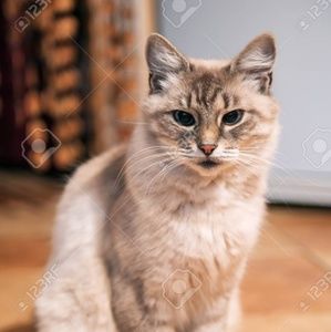 Meet your Posher, Stéphanie